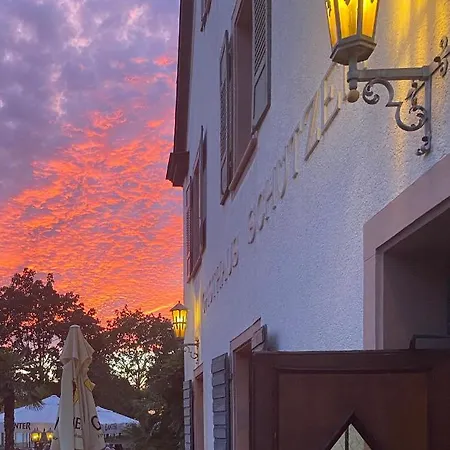 Hotel Gasthaus Schuetzen Отель Фрайбург