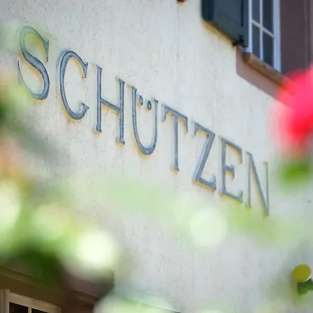 Hotel Gasthaus Schuetzen Отель Фрайбург