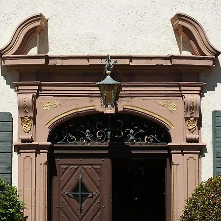 Hotel Gasthaus Schuetzen Отель Фрайбург