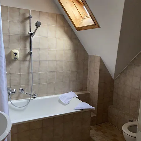 Отель Hotel Gasthaus Schuetzen Фрайбург