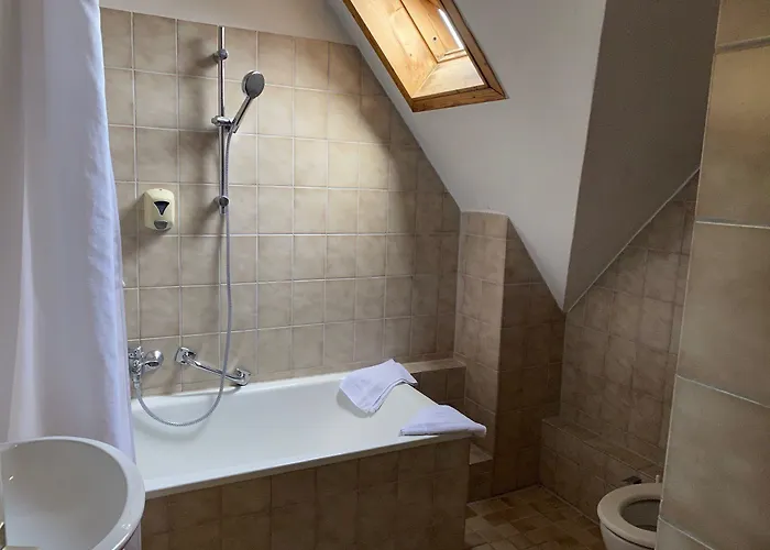 Otel Schuetzen Freiburg im Breisgau